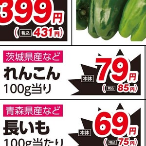 レンコン