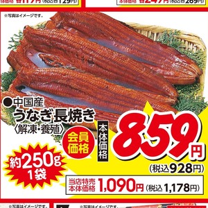うなぎの蒲焼き
