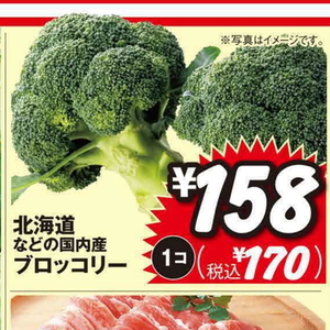 ブロッコリー