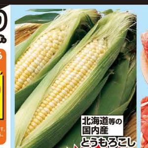 とうもろこし