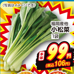 こまつ菜