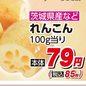 レンコン