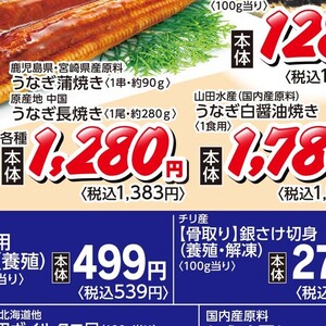 うなぎの蒲焼き
