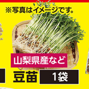 豆苗