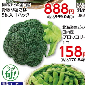 ブロッコリー