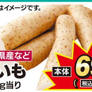 ながいも