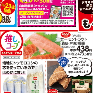 サーモン（さく取り）
