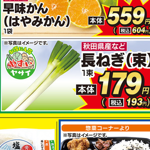 ながねぎ