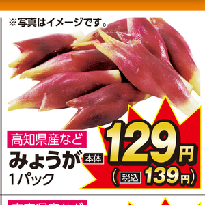 みょうが