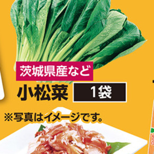 こまつ菜