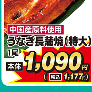 うなぎの蒲焼き