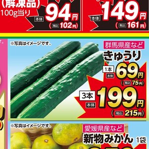 きゅうり