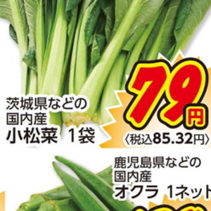 こまつ菜