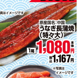 うなぎの蒲焼き