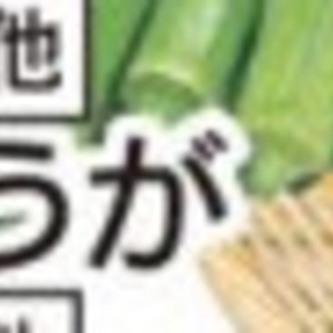 みょうが