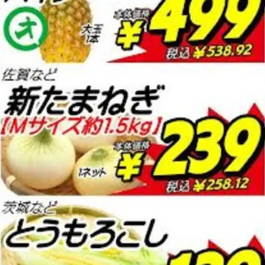 新たまねぎ