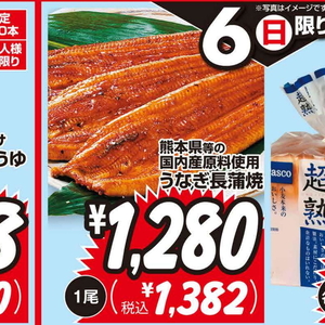 うなぎの蒲焼き
