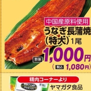 うなぎの蒲焼き