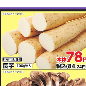 ながいも