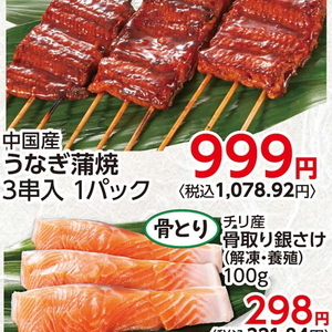 うなぎの蒲焼き