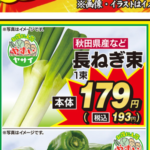 ながねぎ