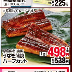 うなぎの蒲焼き
