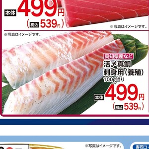 たい（刺身）