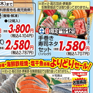 うなぎの蒲焼き