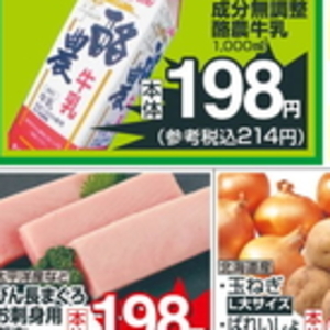 まぐろ（刺身）