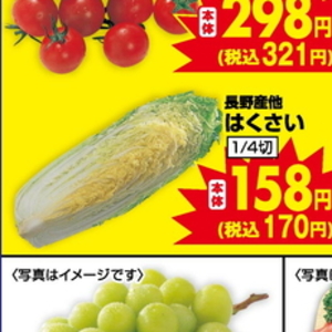 はくさい