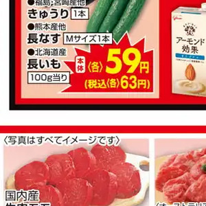 ながいも