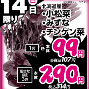 水菜