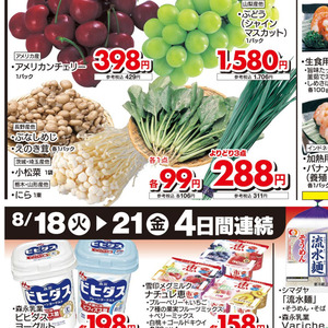 えのき茸