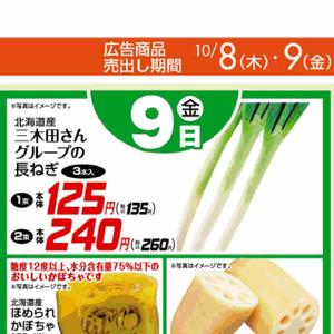 ながねぎ