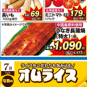 うなぎの蒲焼き