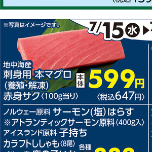 まぐろ赤身