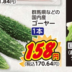 ゴーヤ