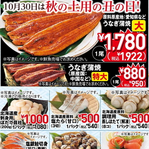 うなぎの蒲焼き