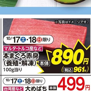 まぐろ赤身
