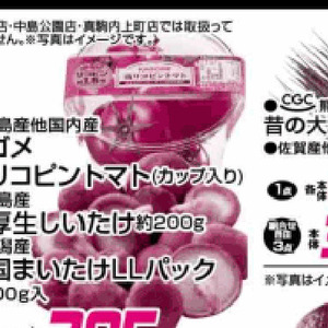 しいたけ