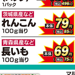 しいたけ