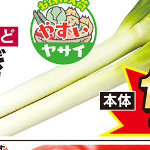 ながねぎ