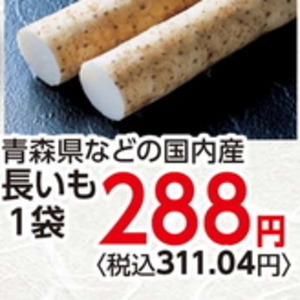 ながいも