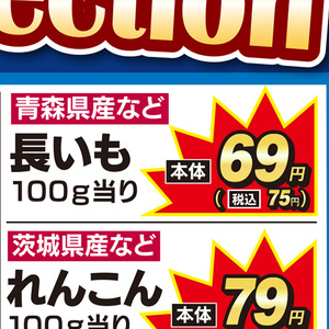 ながいも