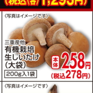 しいたけ