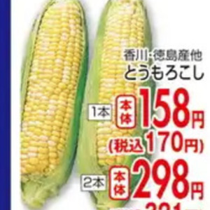 とうもろこし
