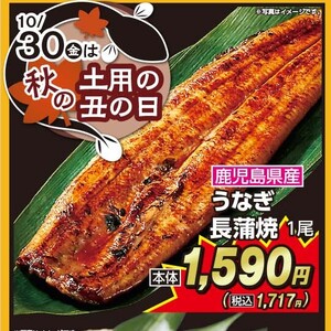 うなぎの蒲焼き