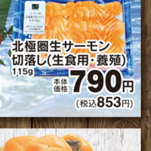 サーモン（刺身）