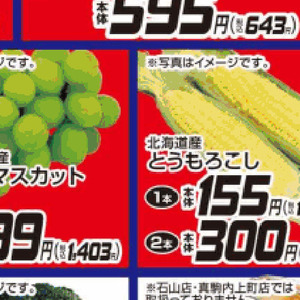 とうもろこし