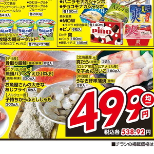 うなぎの蒲焼き